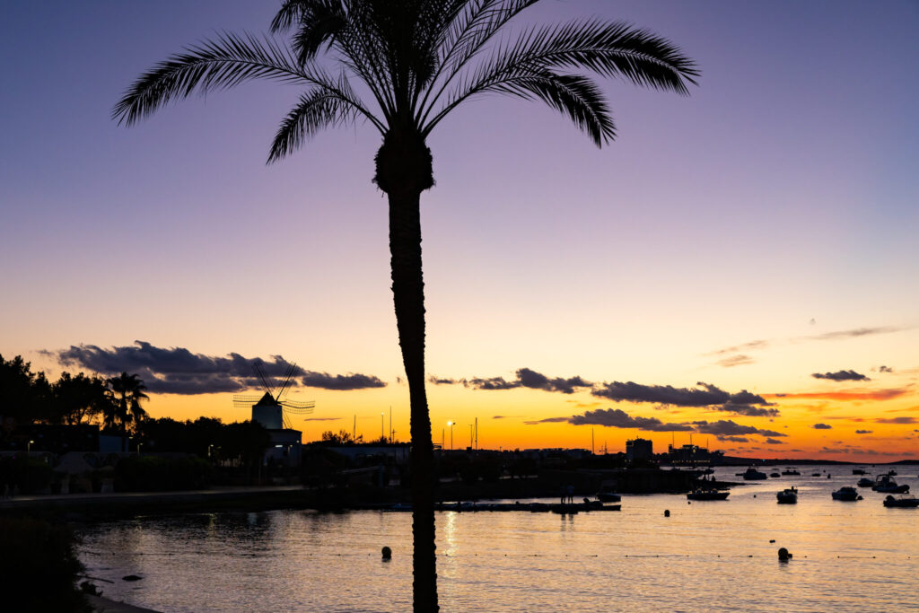A silhouette of a palm tree stands against a vibrant sunset, with the sun setting over a calm sea dotted with boats. The sky features shades of orange, purple, and blue, creating a tranquil evening atmosphere.