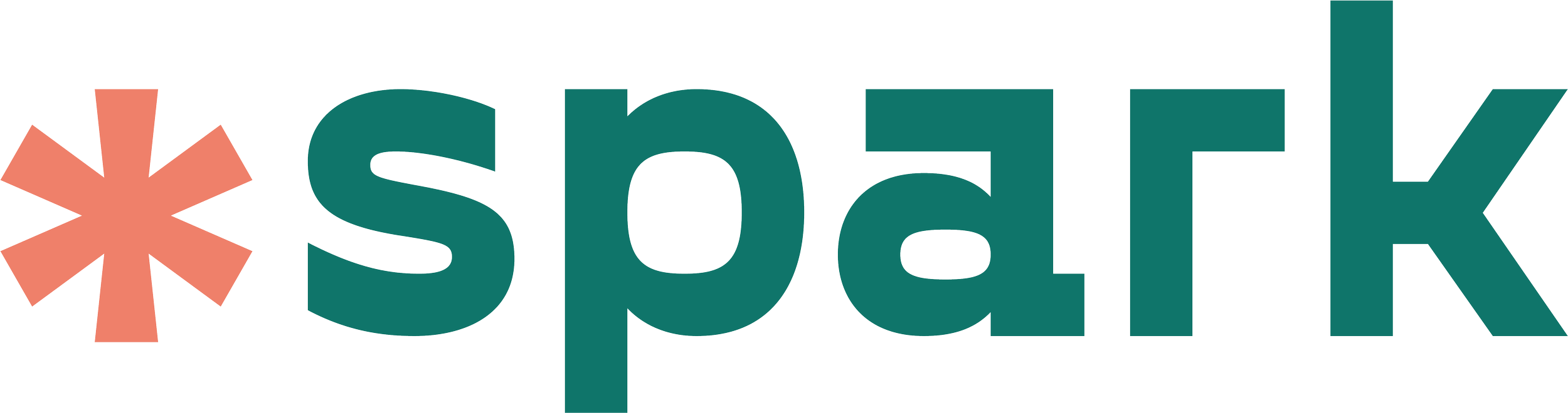 Teal-colored "spark" text with an orange asterisk symbol to the left.